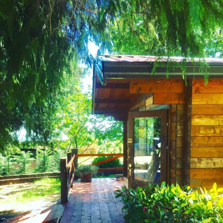 Bilocale In The Farm- Malpensa-Lago Maggiore Varallo Pombia Exteriér fotografie