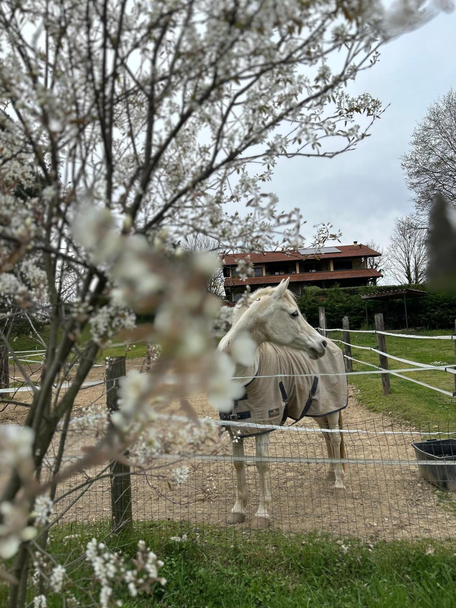 Bilocale In The Farm- Malpensa-Lago Maggiore Varallo Pombia Exteriér fotografie